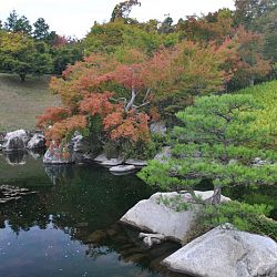 Het park van Hiroshima: afbeelding 11