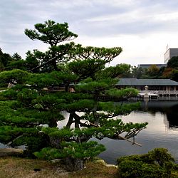 Het park van Hiroshima: afbeelding 15