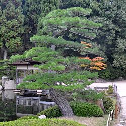 Het park van Hiroshima: afbeelding 18