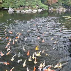 Het park van Hiroshima: afbeelding 23