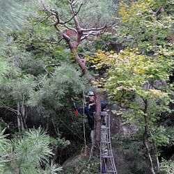Het park van Hiroshima: afbeelding 26