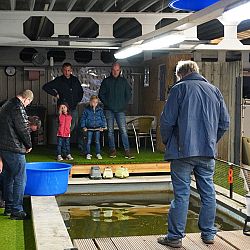 Het was druk in\'t kot: afbeelding 1