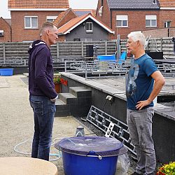 Het was kohaku dag: afbeelding 2