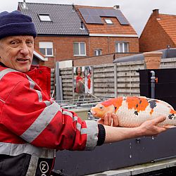 Het was me het dagje wel: afbeelding 2