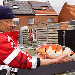 Het was me het dagje wel: afbeelding 4