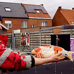 Het was me het dagje wel: afbeelding 5