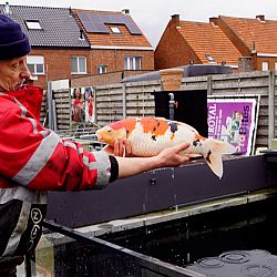 Het was me het dagje wel: afbeelding 6
