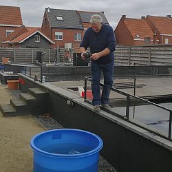 Het was me het dagje wel: afbeelding 7