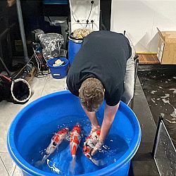 Het was weer nachtwerk: afbeelding 9