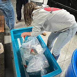 Het was weer nachtwerk: afbeelding 1
