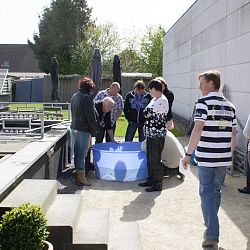 Het werden er 4 in plaats van 2: afbeelding 5