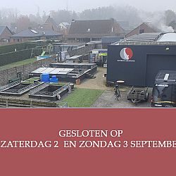Het worden flinke vissen: afbeelding 2