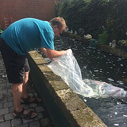 Hoe eenvoudig geluk kan zijn: afbeelding 5