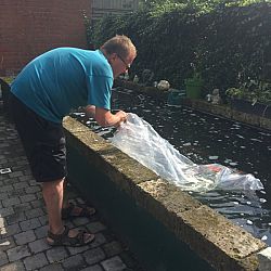 Hoe eenvoudig geluk kan zijn: afbeelding 7