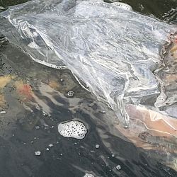 Hoe eenvoudig geluk kan zijn: afbeelding 13