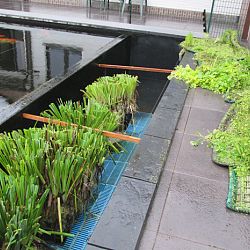 Hoe leg je een plantenfilter aan: afbeelding 4