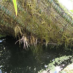 Hoe leg je een plantenfilter aan: afbeelding 10