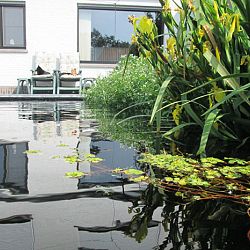 Hoe leg je een plantenfilter aan: afbeelding 14