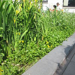 Hoe leg je een plantenfilter aan: afbeelding 17