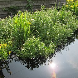 Hoe leg je een plantenfilter aan: afbeelding 19