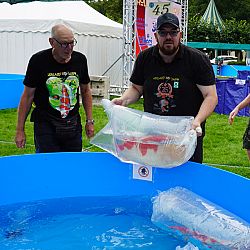 Holland koi show dag 1: afbeelding 4