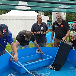 Holland koi show dag 1: afbeelding 5