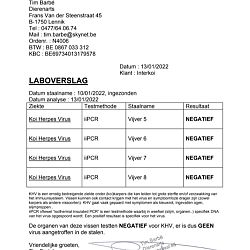 Ik ben ontzettend trots: afbeelding 2