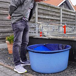 Ik noem hem Kiwi: afbeelding 9