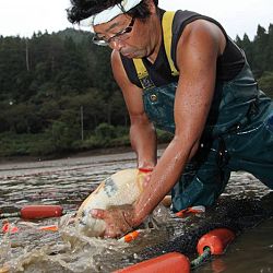 Ikeage van Nagoshi: afbeelding 24