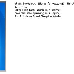informatie oyakoi Hakubotan: afbeelding 2