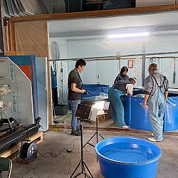 Japan dag 12: afbeelding 3