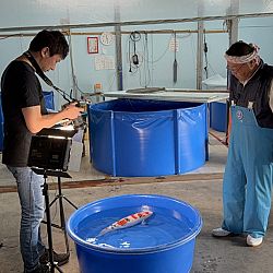 Japan dag 12: afbeelding 5