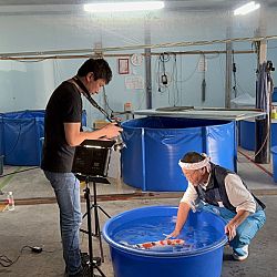 Japan dag 12: afbeelding 6