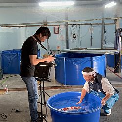 Japan dag 12: afbeelding 7