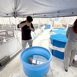 Japan dag 12: afbeelding 1