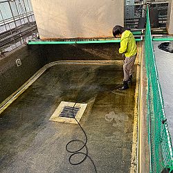 Japan dag 13, deel 1: afbeelding 3