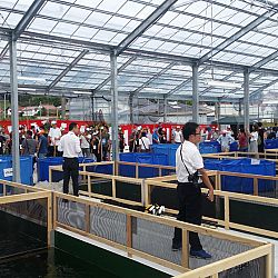 Japan dag 2: afbeelding 4