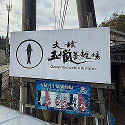 Japan dag 8: afbeelding 2