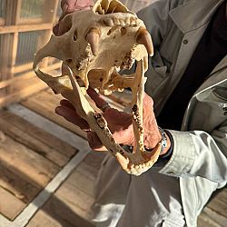 Japan dag 8: afbeelding 8