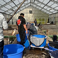 Japan dag 8: afbeelding 1