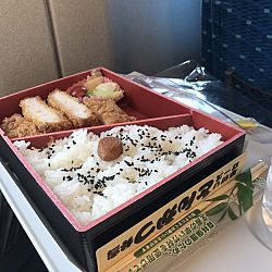 Japanreis april 2017: afbeelding 1