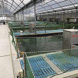 Japanreis april 2017: afbeelding 7