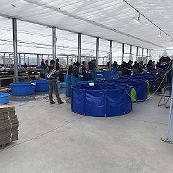 Japanreis april 2017: afbeelding 11