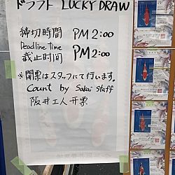 Japanreis april 2017: afbeelding 13