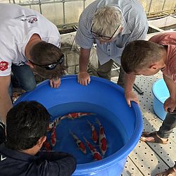 Japanreis april 2017: afbeelding 19