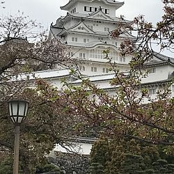 Japanreis april 2017: afbeelding 25