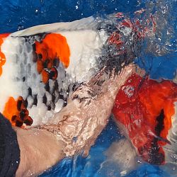 Kennisdeling is belangrijk: afbeelding 6
