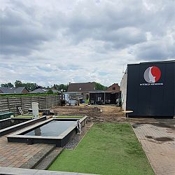 Koi voor Koi-Show: afbeelding 5