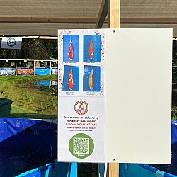 Koicave Noord: afbeelding 6