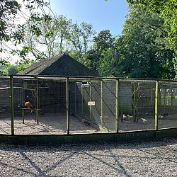 Koicave Noord: afbeelding 10